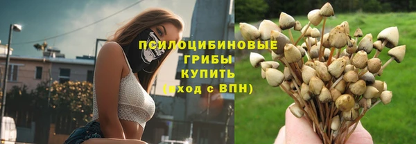 СК Алексеевка