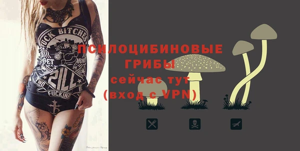 СК Алексеевка